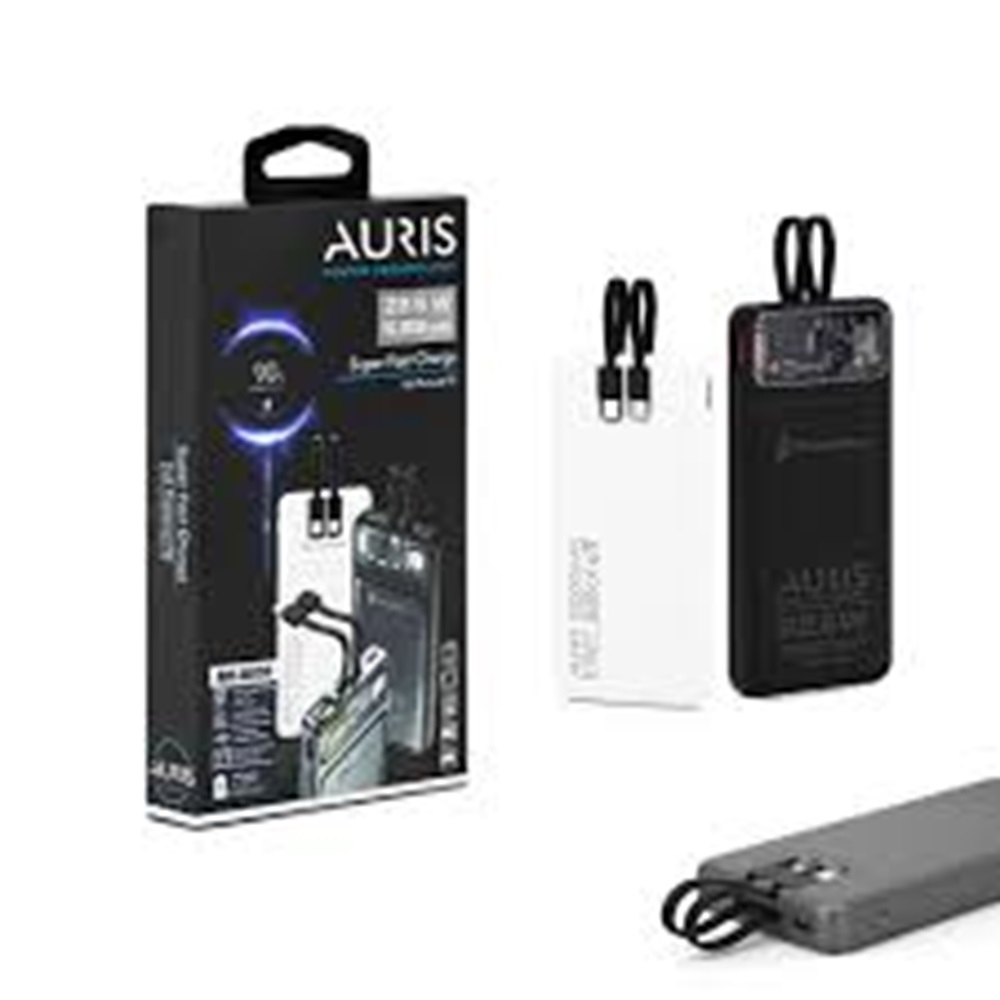 Auris DX159 10000 Mah Powerbank