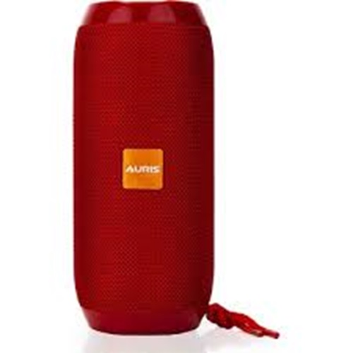 Auris SP1 Wireless Speaker